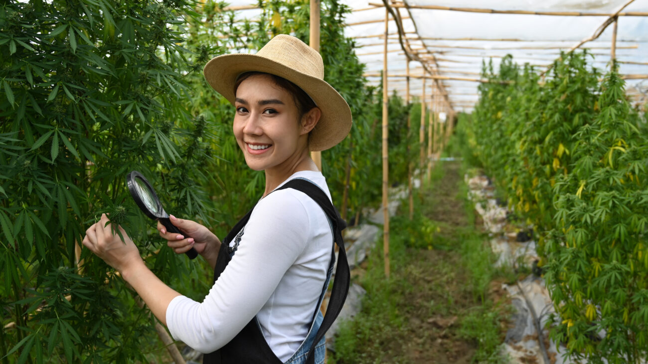 Smiling young woman observing hemp plants with magnifying glass.